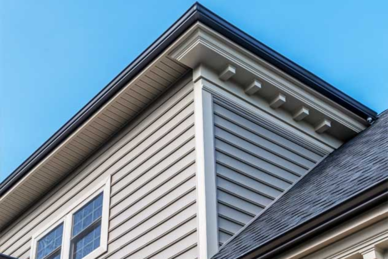 Siding and Fascia Replacement